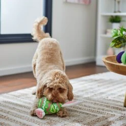 Frisco Easter Bunny Egg Plush Squeaky Dog Toy 10 Frisco Easter Bunny Egg Plush Squeaky Dog Toy -Chewy 304960 PT4. AC SS1800 V1702500564