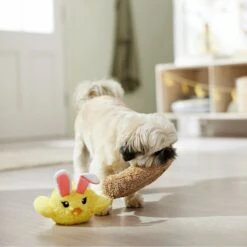 Frisco Easter Chick In Nest 2-in-1 Plush Squeaky Dog Toy -Chewy 304962 PT4. AC SS1800 V1702500565