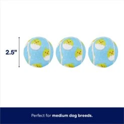 Frisco Easter Fetch Squeaky Tennis Ball Dog Toy, Medium, 3 Count -Chewy 304964 PT1. AC SS1800 V1672780522