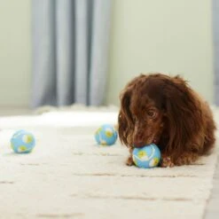 Frisco Easter Fetch Squeaky Tennis Ball Dog Toy, Medium, 3 Count -Chewy 304964 PT4. AC SS1800 V1703184745