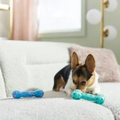 Frisco Easter TPR Bone Squeaky Dog Toy, Medium/Large, 2 Count 10 Frisco Easter TPR Bone Squeaky Dog Toy, Medium/Large, 2 Count -Chewy 304966 PT4. AC SS1800 V1670608502