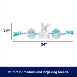 Frisco Easter Bunny & Egg Plush With Rope Dog Toy -Chewy 304970 PT1. AC SS1800 V1700243716