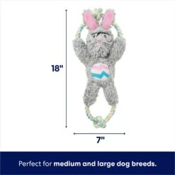 Frisco Easter Bunny Plush With Rope Squeaky Dog Toy 8 Frisco Easter Bunny Plush With Rope Squeaky Dog Toy -Chewy 304974 PT1. AC SS1800 V1700243716