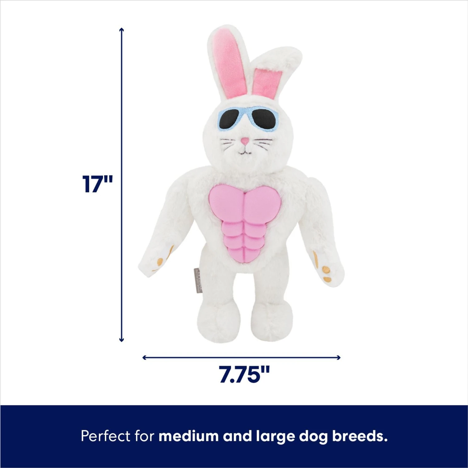 Frisco Easter Bunny Muscle Plush Squeaky Dog Toy 4 Frisco Easter Bunny Muscle Plush Squeaky Dog Toy - Image 2