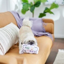 Frisco Easter Message Bubble Plush Squeaky Dog Toy 9 Frisco Easter Message Bubble Plush Squeaky Dog Toy -Chewy 304980 PT3. AC SS1800 V1642441439