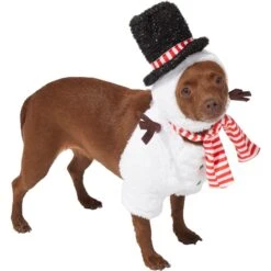 Frisco Front Walking Snowman Dog & Cat Costume 8 Frisco Front Walking Snowman Dog & Cat Costume -Chewy 306569 PT3. AC SS1800 V1631660597