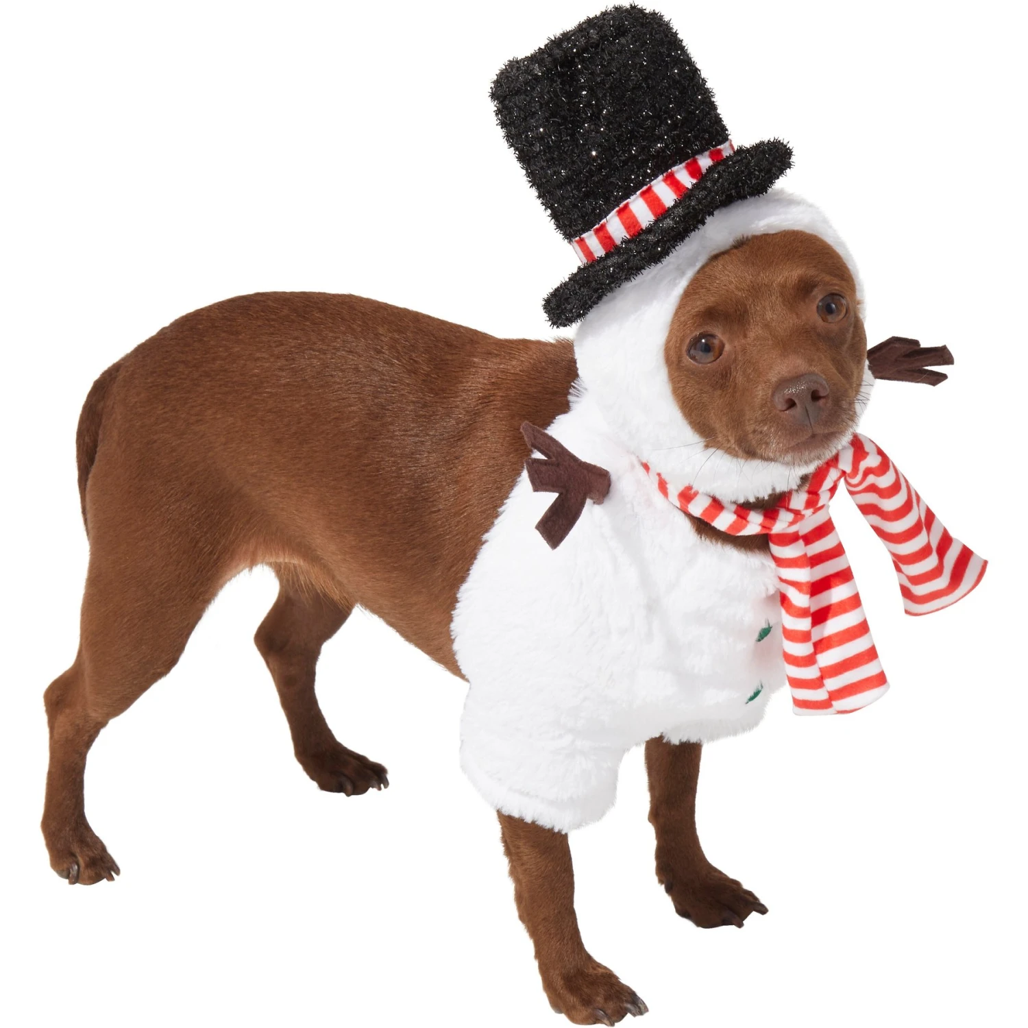 Frisco Front Walking Snowman Dog & Cat Costume 5 Frisco Front Walking Snowman Dog & Cat Costume - Image 3