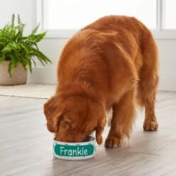 Frisco Personalized Chevron Ceramic Dog Bowl, 4.75-cup, 38oz -Chewy 306761 PT4. AC SS1800 V1639518108