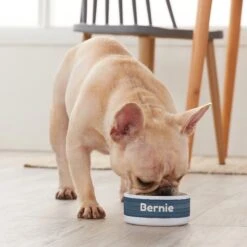 Frisco Heathered Personalized Dog & Cat Bowl -Chewy 306766 PT4. AC SS1800 V1639518097