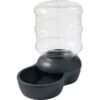 Frisco Wide Mouth Gravity Waterer 1 Frisco Wide Mouth Gravity Waterer -Chewy 308945 MAIN. AC SS1800 V1634158585