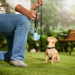 Frisco Dog Poop Bag Square Design Dispenser -Chewy 309816 PT5. AC SS1800 V1670276147