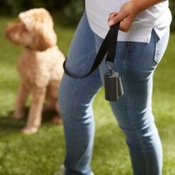 Frisco Poop Bag Square Design Dispenser 14 Frisco Poop Bag Square Design Dispenser -Chewy 309818 PT5. AC SS1800 V1669101248