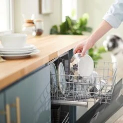 Frisco Animal Design Stainless Steel Dog & Cat Bowl 17 Frisco Animal Design Stainless Steel Dog & Cat Bowl -Chewy 311960 PT7. AC SS1800 V1642543141