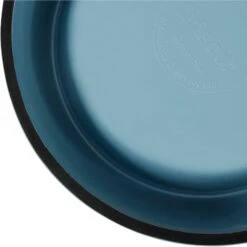 Frisco Coral Design Stainless Steel Dog & Cat Bowl 16 Frisco Coral Design Stainless Steel Dog & Cat Bowl -Chewy 311972 PT6. AC SS1800 V1642543392