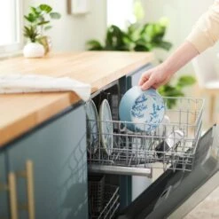 Frisco Coral Design Stainless Steel Dog & Cat Bowl 17 Frisco Coral Design Stainless Steel Dog & Cat Bowl -Chewy 311972 PT7. AC SS1800 V1642543254