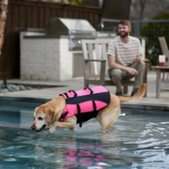 Frisco Ripstop Dog Life Jacket, Pink 19 Frisco Ripstop Dog Life Jacket, Pink -Chewy 312380 PT8. AC SS1800 V1649275938