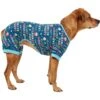 Frisco Celebration Dog & Cat PJs 1 Frisco Celebration Dog & Cat PJs -Chewy 315105 MAIN. AC SS1800 V1646442148