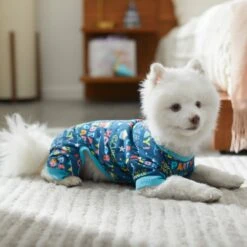 Frisco Celebration Dog & Cat PJs 11 Frisco Celebration Dog & Cat PJs -Chewy 315105 PT8. AC SS1800 V1646437758