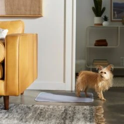 Frisco Washable Dog Potty Pads 10 Frisco Washable Dog Potty Pads -Chewy 315712 PT3. AC SS1800 V1644880410