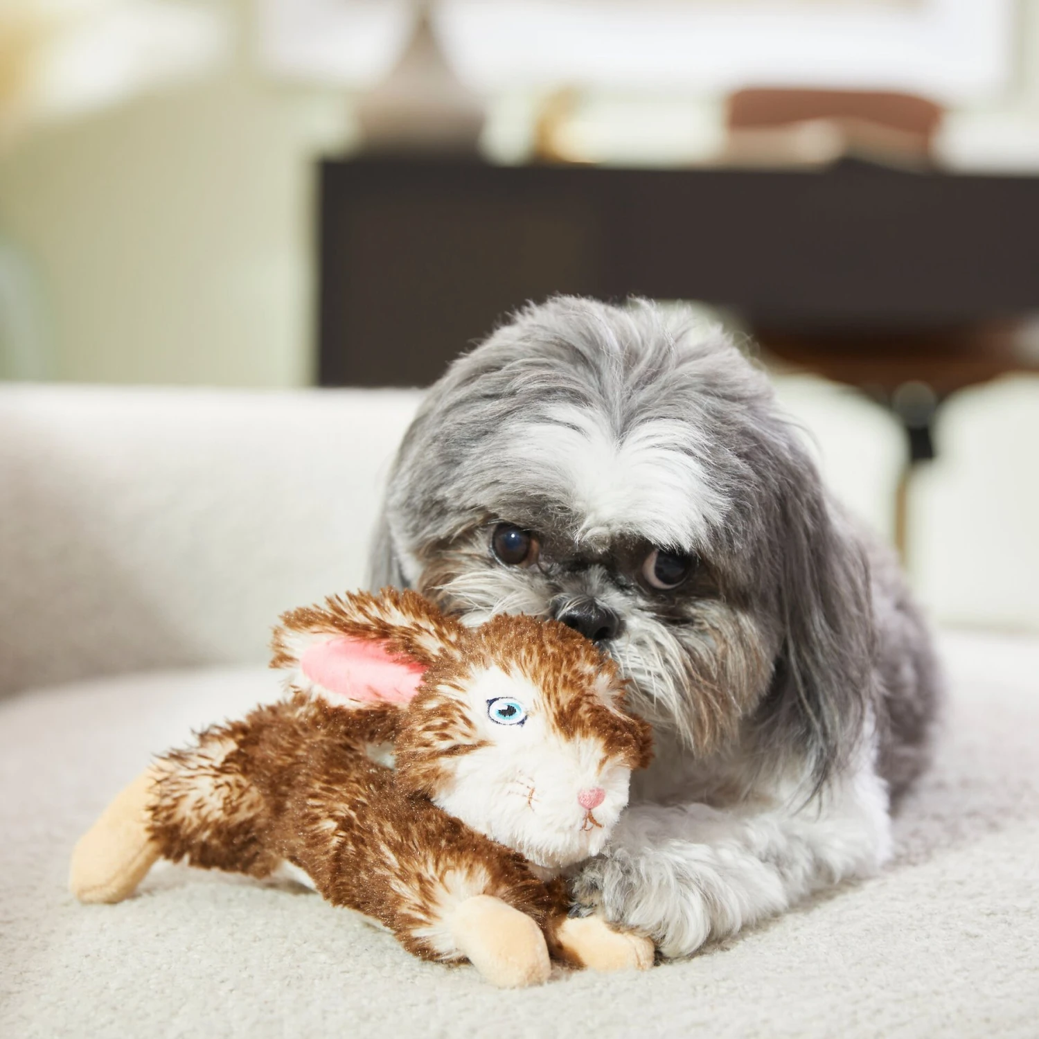 Frisco Realistic Plush Rabbit Plush Dog Toy, Small 5 Frisco Realistic Plush Rabbit Plush Dog Toy, Small - Image 3