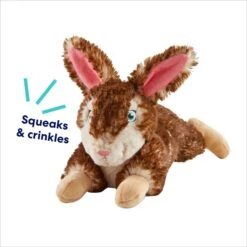 Frisco Realistic Rabbit Plush Squeaky Dog Toy -Chewy 316939 PT2. AC SS1800 V1695760987