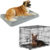Frisco Eyelash Orthopedic Dog Crate Mat & Frisco Fold & Carry Single Door Collapsible Wire Dog Crate 1 Frisco Eyelash Orthopedic Dog Crate Mat & Frisco Fold & Carry Single Door Collapsible Wire Dog Crate -Chewy 319010 MAIN. AC SS1800 V1631628102