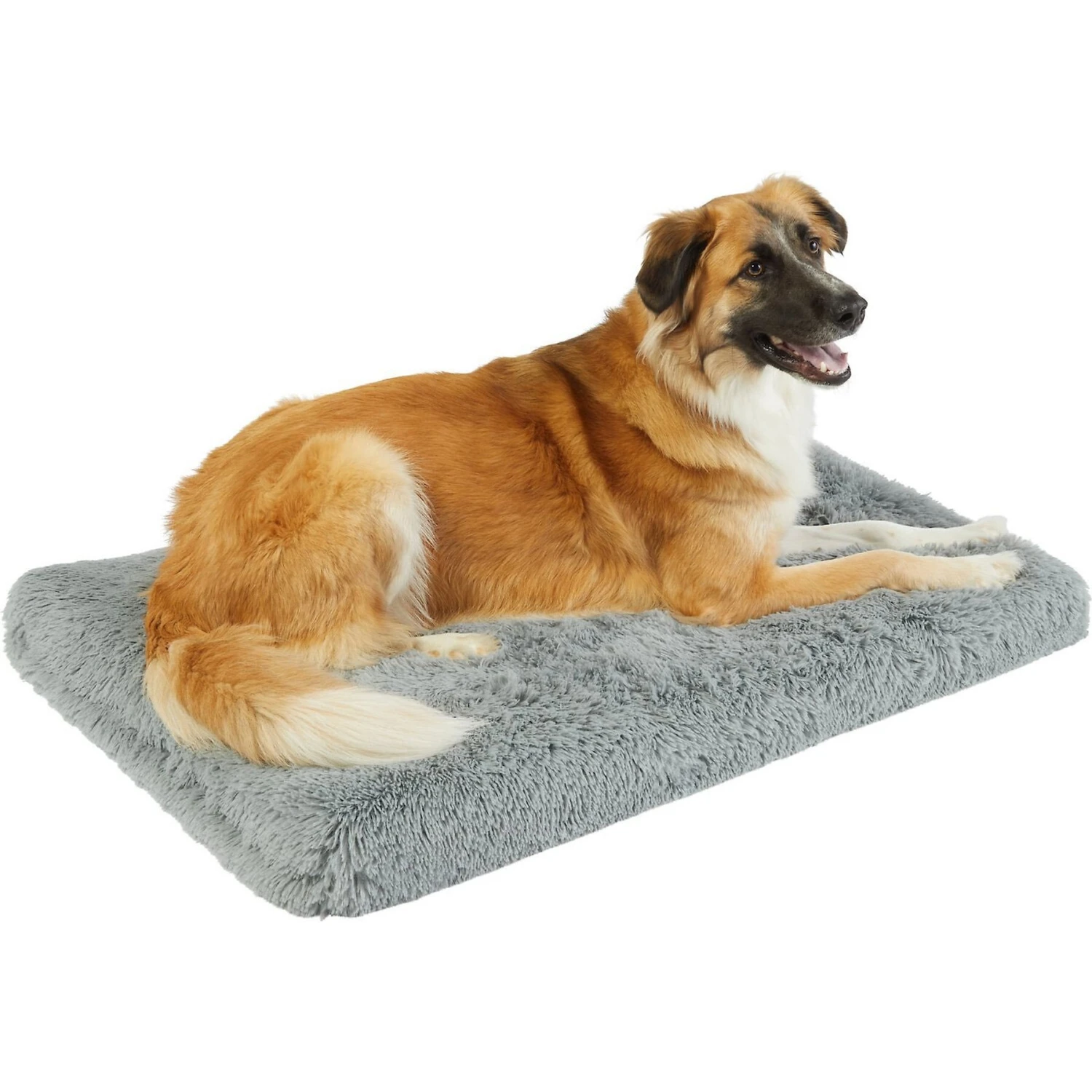 Frisco Eyelash Orthopedic Dog Crate Mat & Frisco Fold & Carry Single Door Collapsible Wire Dog Crate 4 Frisco Eyelash Orthopedic Dog Crate Mat & Frisco Fold & Carry Single Door Collapsible Wire Dog Crate - Image 2