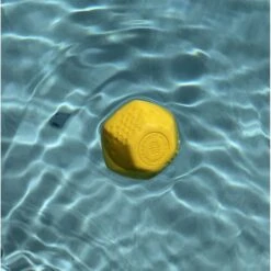 Frisco Fetch Squeaking Colorful Tennis Ball Dog Toy & Project Hive Pet Company Ball Dog Toy 17 Frisco Fetch Squeaking Colorful Tennis Ball Dog Toy & Project Hive Pet Company Ball Dog Toy -Chewy 319024 PT6. AC SS1800 V1630561577