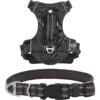 Frisco Outdoor Premium Ripstop Nylon Dog Harness With Pocket & Frisco Outdoor Nylon Reflective Comfort Padded Dog Collar 1 Frisco Outdoor Premium Ripstop Nylon Dog Harness With Pocket & Frisco Outdoor Nylon Reflective Comfort Padded Dog Collar -Chewy 319304 MAIN. AC SS1800 V1631144496