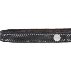 Frisco Outdoor Premium Ripstop Nylon Dog Harness With Pocket & Frisco Outdoor Nylon Reflective Comfort Padded Dog Collar 17 Frisco Outdoor Premium Ripstop Nylon Dog Harness With Pocket & Frisco Outdoor Nylon Reflective Comfort Padded Dog Collar -Chewy 319304 PT6. AC SS1800 V1631158591