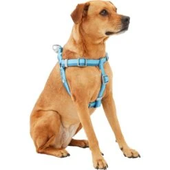 Frisco Outdoor Two Tone Waterproof Stinkproof PVC Dog Harness & Frisco Outdoor Two Tone Waterproof Stinkproof PVC Dog Harness 10 Frisco Outdoor Two Tone Waterproof Stinkproof PVC Dog Harness & Frisco Outdoor Two Tone Waterproof Stinkproof PVC Dog Harness -Chewy 319396 PT2. AC SS1800 V1630624884