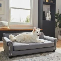 Frisco Sofa Pet Bed With Removable Cover & Frisco Eyelash Cat & Dog Blanket 15 Frisco Sofa Pet Bed With Removable Cover & Frisco Eyelash Cat & Dog Blanket -Chewy 319504 PT4. AC SS1800 V1630625195