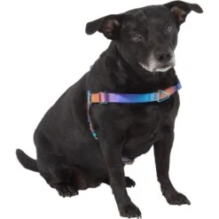 Frisco Purple Ombre Style Dog Harness 9 Frisco Purple Ombre Style Dog Harness -Chewy 324526 PT2. AC SS1800 V1642519692