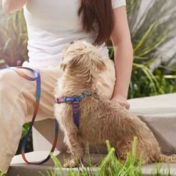 Frisco Purple Ombre Style Dog Harness 11 Frisco Purple Ombre Style Dog Harness -Chewy 324526 PT4. AC SS1800 V1642518470