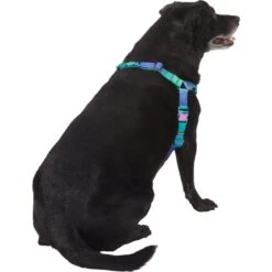 Frisco Green Ombre Style Dog Harness 10 Frisco Green Ombre Style Dog Harness -Chewy 324531 PT3. AC SS1800 V1642518631