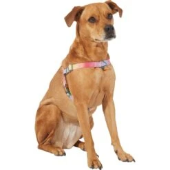 Frisco Pink Ombre Style Dog Harness -Chewy 324537 PT2. AC SS1800 V1642519336