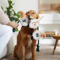 Frisco Mother's Day Gnomes Plush With Rope Squeaky Dog Toy -Chewy 327037 PT3. AC SS1800 V1646948102