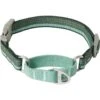Frisco Outdoor Running Martingale Dog Collar 2 Frisco Outdoor Running Martingale Dog Collar -Chewy 331413 MAIN. AC SS1800 V1659977325