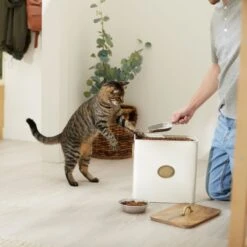 Frisco Premium Airtight Dog & Cat Food Storage Canister With Scoop 10 Frisco Premium Airtight Dog & Cat Food Storage Canister With Scoop -Chewy 331486 PT3. AC SS1800 V1657656891