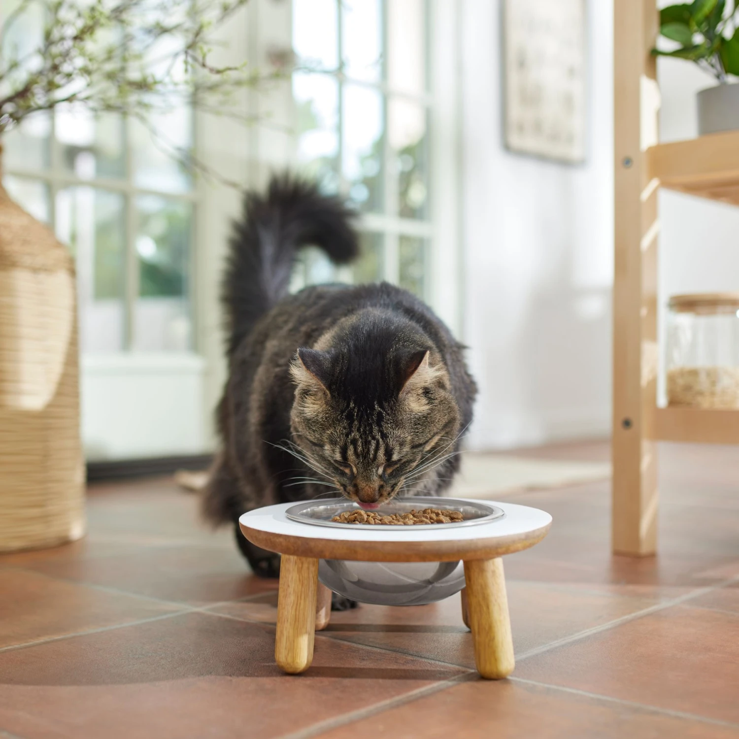 Frisco Premium Round Shape Elevated Single Dog & Cat Bowl 6 Frisco Premium Round Shape Elevated Single Dog & Cat Bowl - Image 4