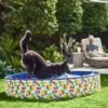 Frisco Outdoor Dog Swimming Pool, Hawaiian Print -Chewy 331652 MAIN. AC SS1800 V1646179333