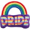 Frisco Pride Rainbow Plush With Rope Squeaky Dog Toy 2 Frisco Pride Rainbow Plush With Rope Squeaky Dog Toy -Chewy 331653 MAIN. AC SS1800 V1649086609