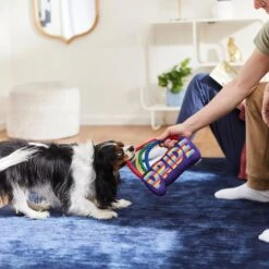 Frisco Pride Rainbow Plush With Rope Squeaky Dog Toy -Chewy 331653 PT3. AC SS1800 V1647356026