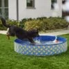 Frisco Outdoor Dog Swimming Pool, Rubber Ducky 1 Frisco Outdoor Dog Swimming Pool, Rubber Ducky -Chewy 331660 MAIN. AC SS1800 V1646178232