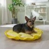 Frisco Lemon Adjustable Cat & Dog Bolster Bed 1 Frisco Lemon Adjustable Cat & Dog Bolster Bed -Chewy 333852 MAIN. AC SS1800 V1658716845