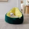 Frisco Avocado Cat & Dog Bed 2 Frisco Avocado Cat & Dog Bed -Chewy 333856 MAIN. AC SS1800 V1658717997