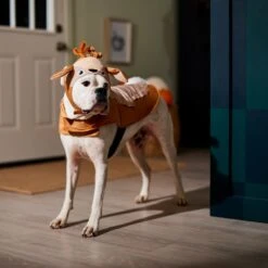 Frisco Deer Dog & Cat Costume 14 Frisco Deer Dog & Cat Costume -Chewy 334874 PT7. AC SS1800 V1657720507