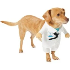 Frisco Front Walking Doctor Dog & Cat Costume 13 Frisco Front Walking Doctor Dog & Cat Costume -Chewy 334900 PT3. AC SS1800 V1658344549