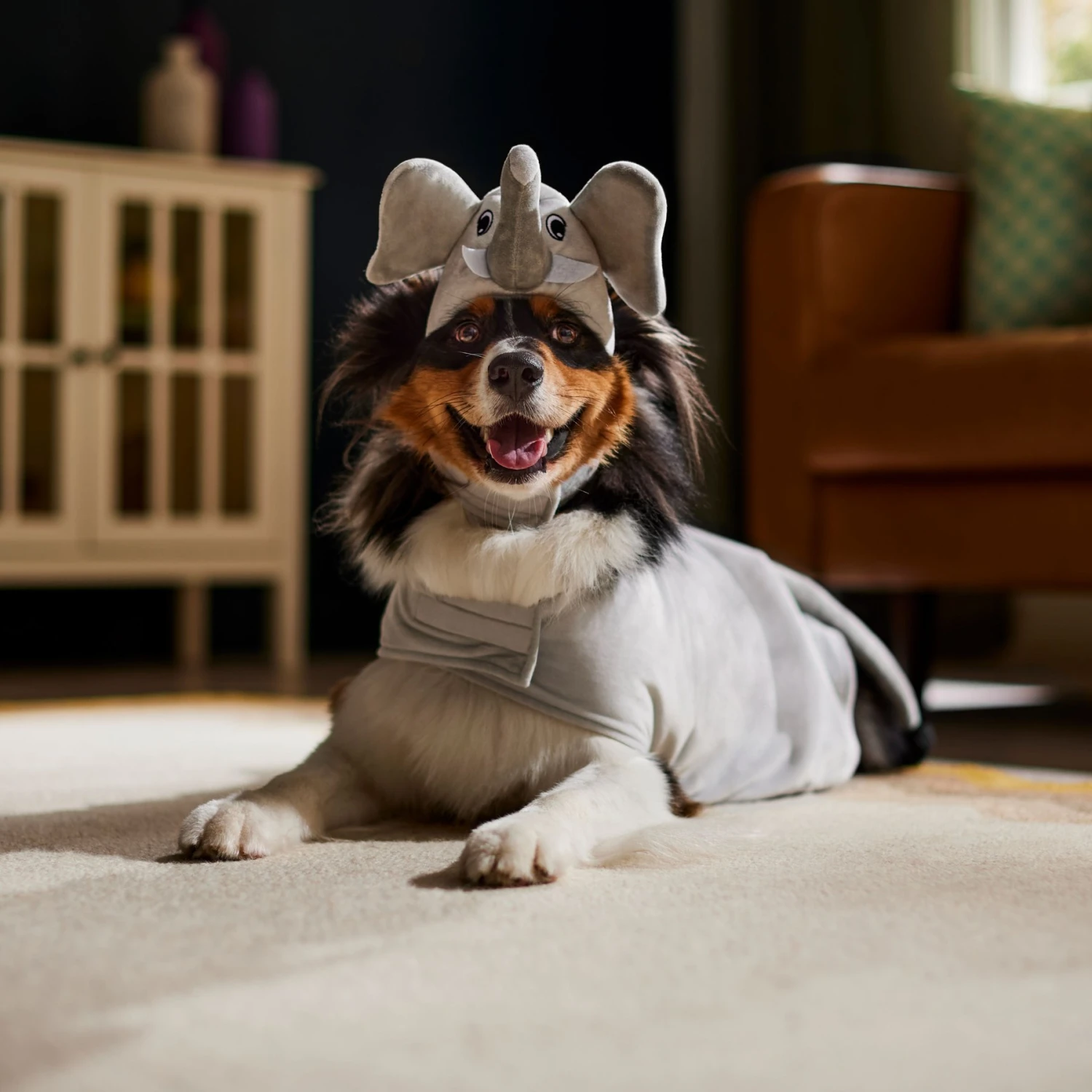 Frisco Elephant Dog & Cat Costume 8 Frisco Elephant Dog & Cat Costume - Image 6