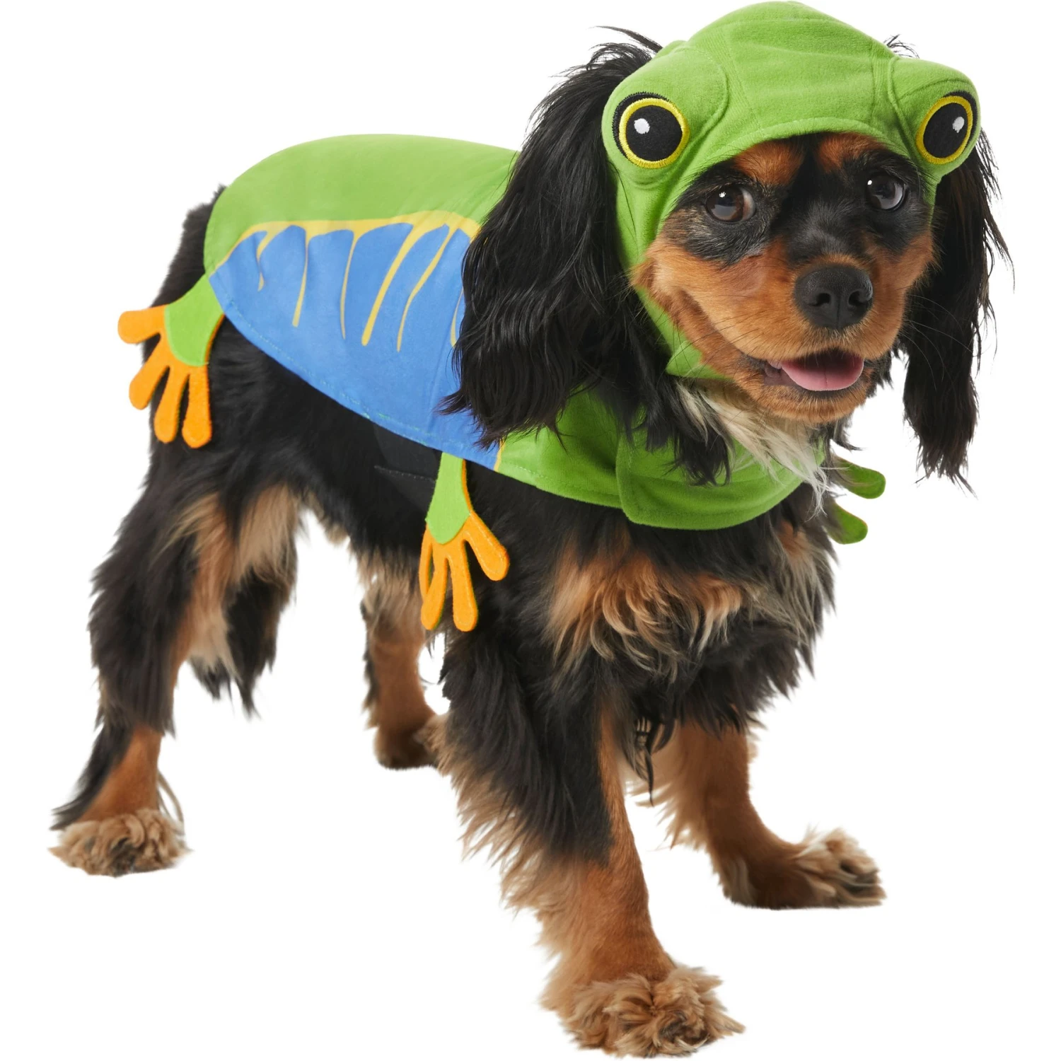 Frisco Frog Dog & Cat Costume 3 Frisco Frog Dog & Cat Costume